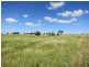 521 Granleigh-Pheasant Creek Rd, Wowan QLD 4702