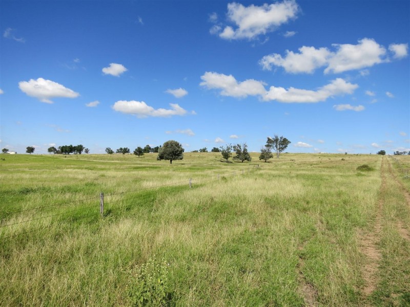 521 Granleigh-Pheasant Creek Rd, Wowan QLD 4702