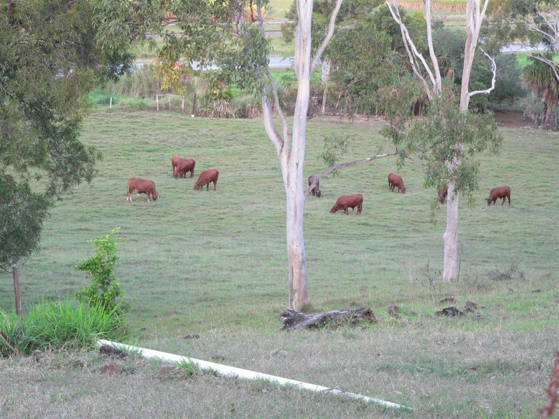 88479 Bruce Highway, Koumala QLD 4738