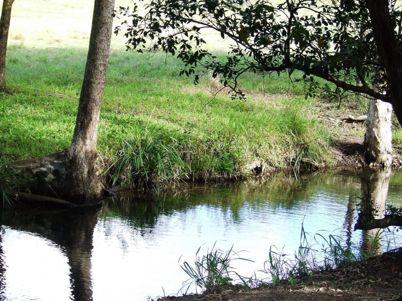 88479 Bruce Highway, Koumala QLD 4738