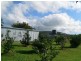 88479 Bruce Highway, Koumala QLD 4738
