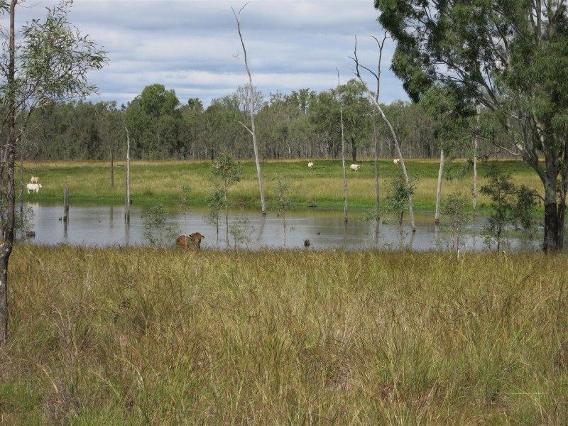 “BOYCES” Glendarra Road, Dingo QLD 4702