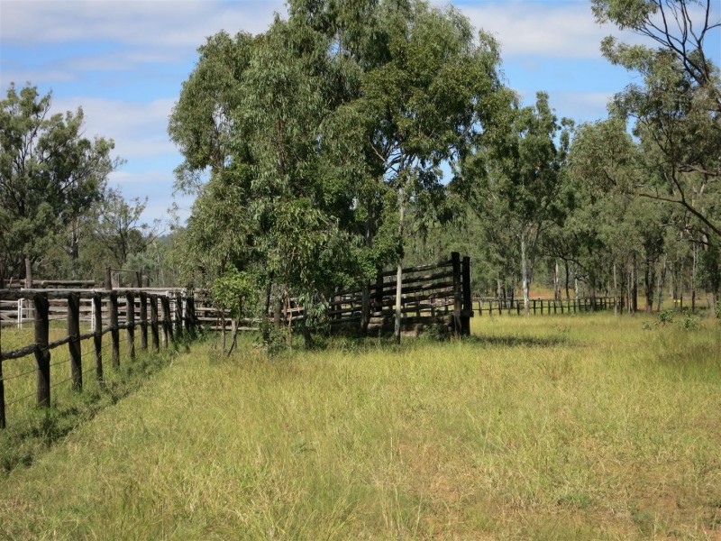 “HEMPSEEDS” Glendarra Road, Dingo QLD 4702