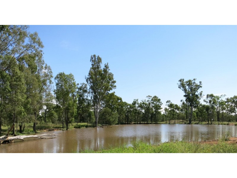 “HEMPSEEDS” Glendarra Road, Dingo QLD 4702