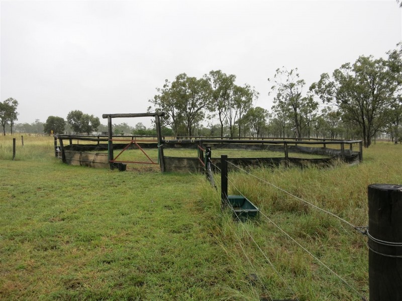 455 Alton Downs Nine Mile Road, Alton Downs QLD 4702