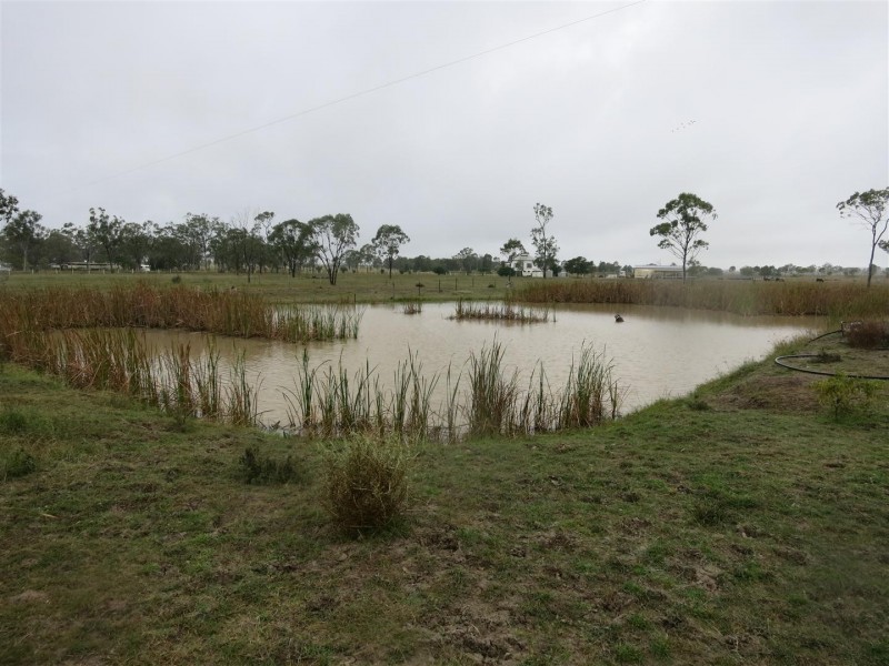 455 Alton Downs Nine Mile Road, Alton Downs QLD 4702