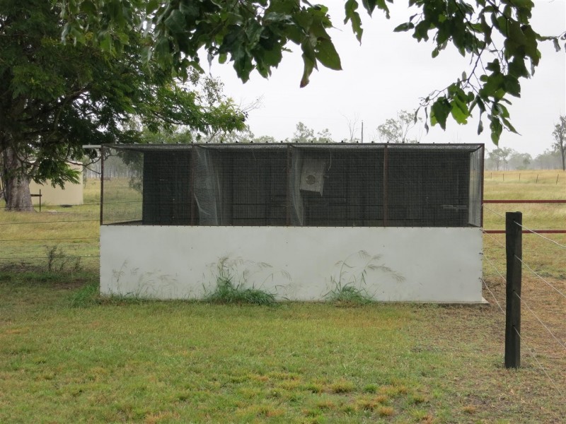 455 Alton Downs Nine Mile Road, Alton Downs QLD 4702