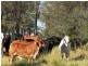 306 Riders Road, Baralaba QLD 4702