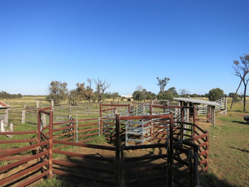 306 Riders Road, Baralaba QLD 4702