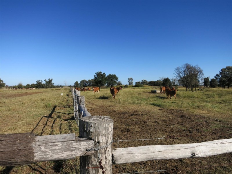 306 Riders Road, Baralaba QLD 4702