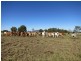 306 Riders Road, Baralaba QLD 4702