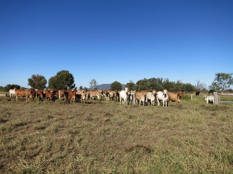 306 Riders Road, Baralaba QLD 4702