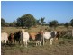 306 Riders Road, Baralaba QLD 4702