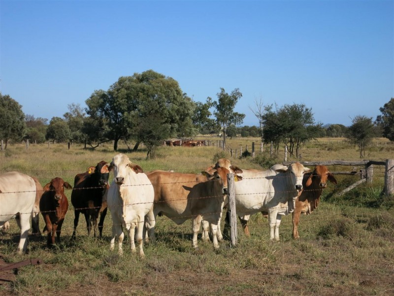 306 Riders Road, Baralaba QLD 4702