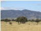 306 Riders Road, Baralaba QLD 4702