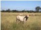 306 Riders Road, Baralaba QLD 4702