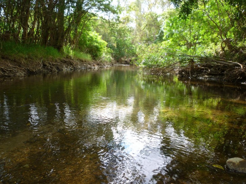 49 Gum Tree Avenue, Bouldercombe QLD 4702