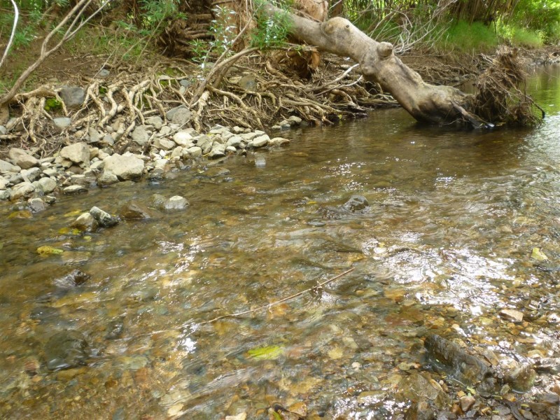 49 Gum Tree Avenue, Bouldercombe QLD 4702