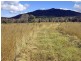 113 Broughton Rd, Dalma QLD 4702