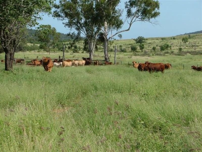 0 Marble Ridges Road, Morinish QLD 4702