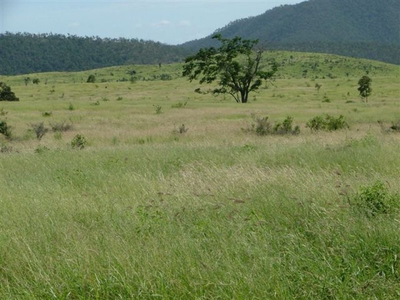0 Marble Ridges Road, Morinish QLD 4702