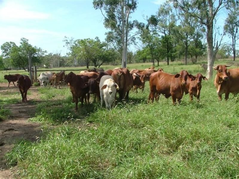 0 Marble Ridges Road, Morinish QLD 4702