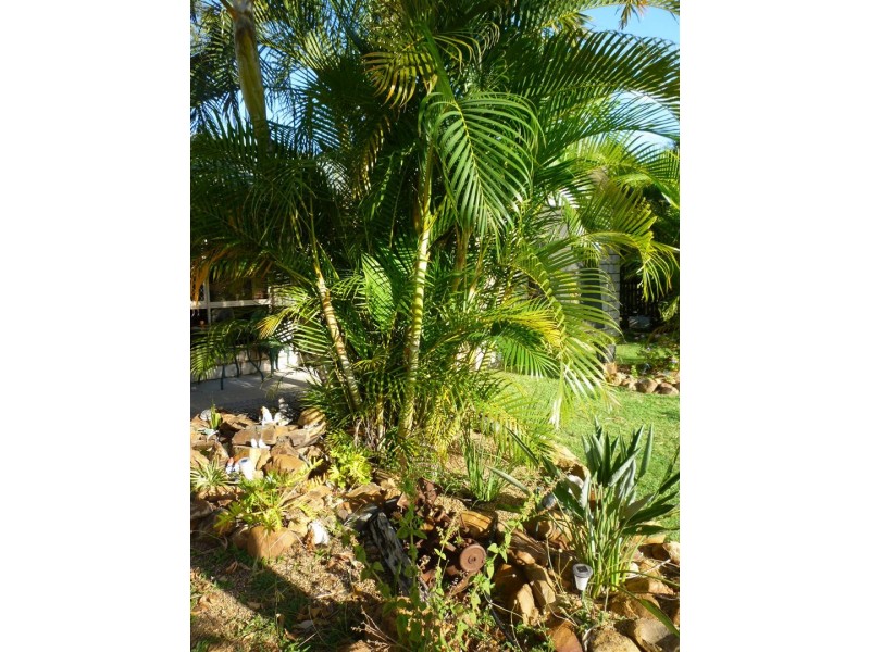 32 Hutchings Street, Gracemere QLD 4702