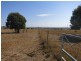 1426 Riverslea Road, Gogango QLD 4702