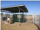 1426 Riverslea Road, Gogango QLD 4702