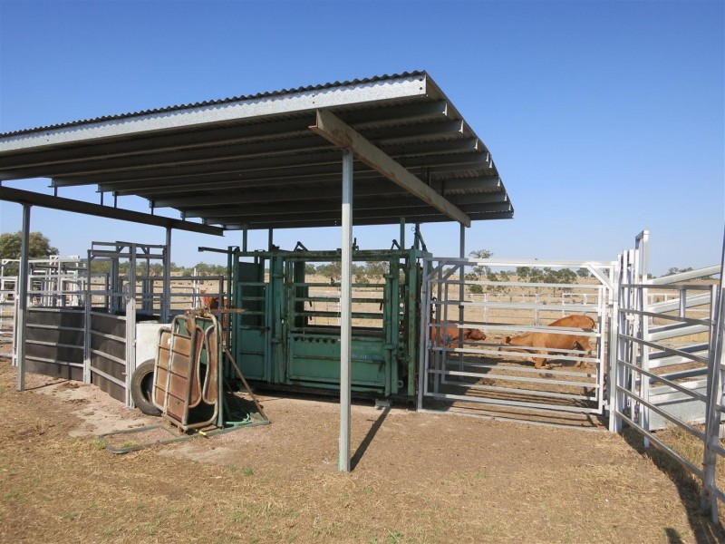 1426 Riverslea Road, Gogango QLD 4702