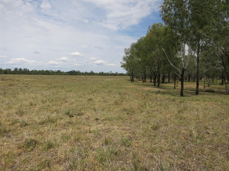 2176 “Riverview” Duaringa-Biloela Road, Gainsford QLD 4702
