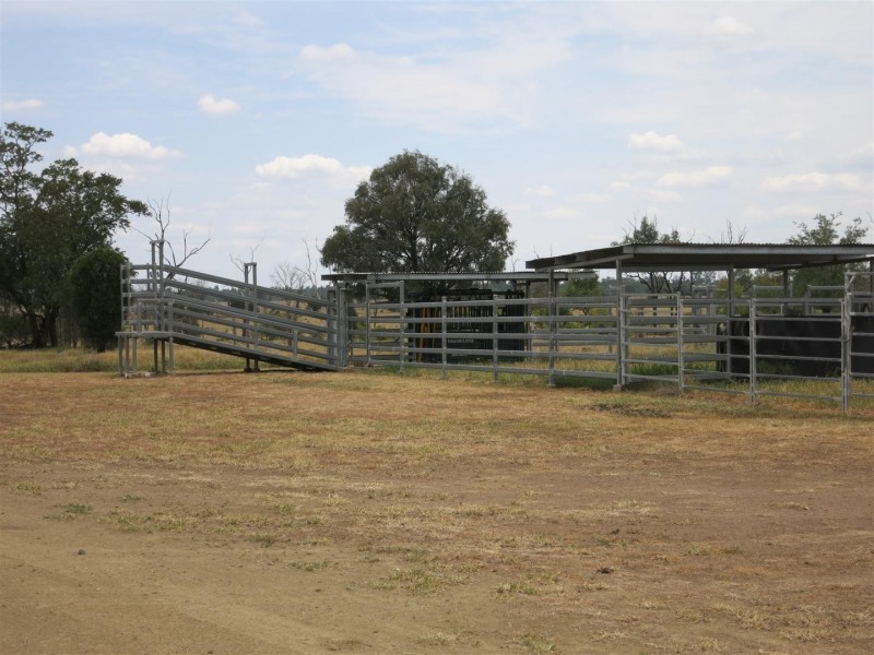 2176 “Riverview” Duaringa-Biloela Road, Gainsford QLD 4702