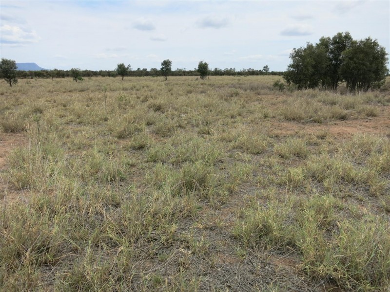 2176 “Riverview” Duaringa-Biloela Road, Gainsford QLD 4702