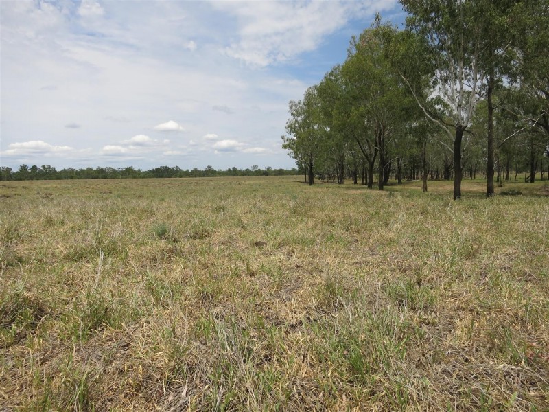 2176 “Riverview” Duaringa-Biloela Road, Gainsford QLD 4702