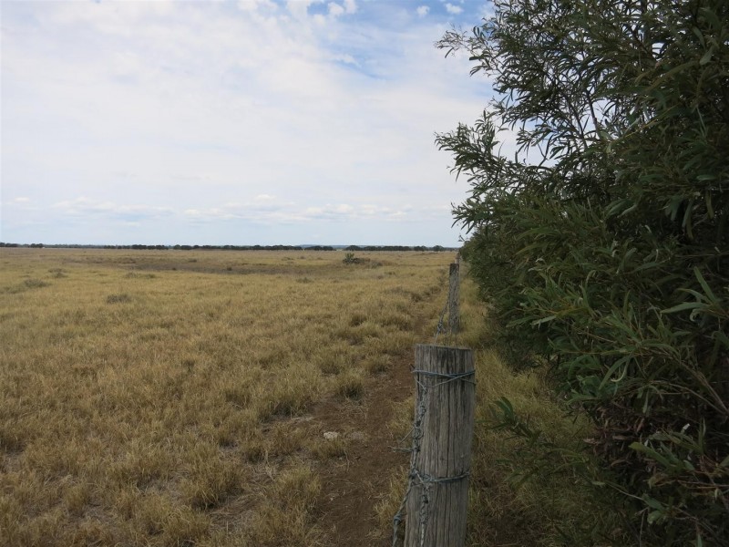 2176 “Riverview” Duaringa-Biloela Road, Gainsford QLD 4702