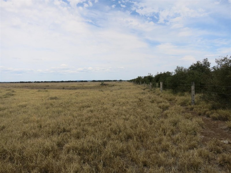 2176 “Riverview” Duaringa-Biloela Road, Gainsford QLD 4702