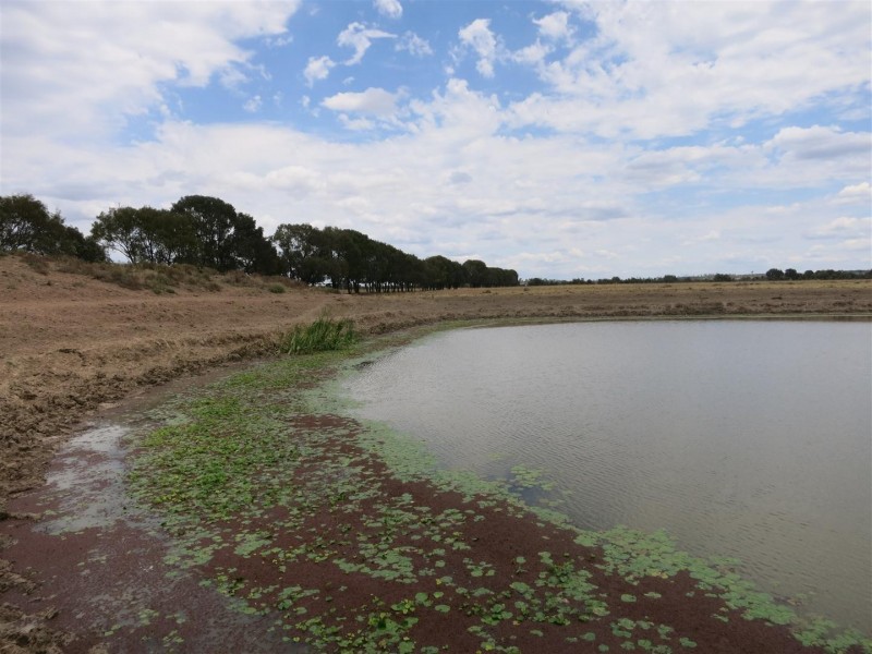 2176 “Riverview” Duaringa-Biloela Road, Gainsford QLD 4702