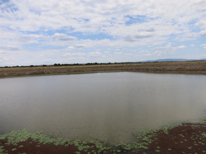 2176 “Riverview” Duaringa-Biloela Road, Gainsford QLD 4702