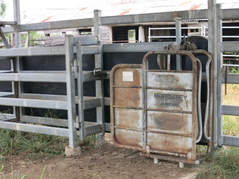 2176 “Riverview” Duaringa-Biloela Road, Gainsford QLD 4702