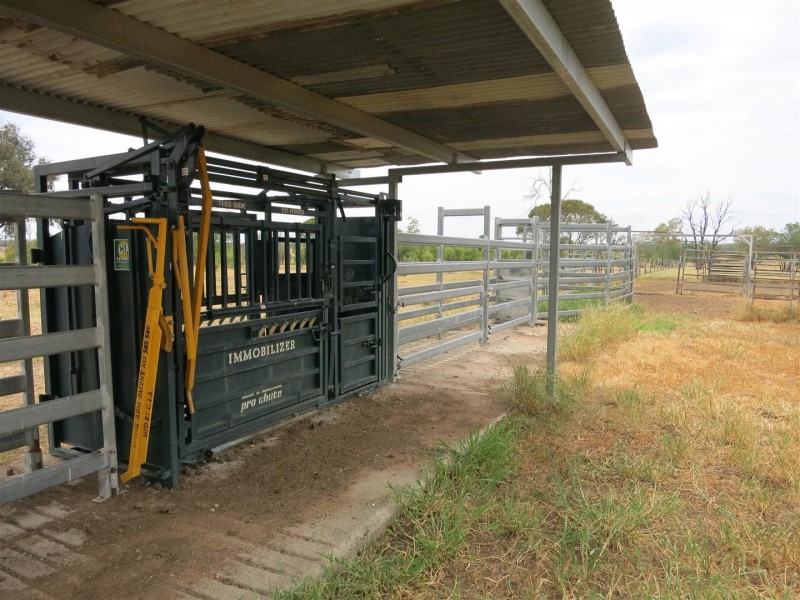 2176 “Riverview” Duaringa-Biloela Road, Gainsford QLD 4702