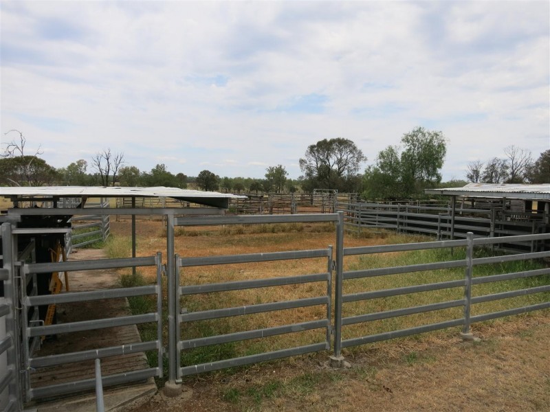 2176 “Riverview” Duaringa-Biloela Road, Gainsford QLD 4702