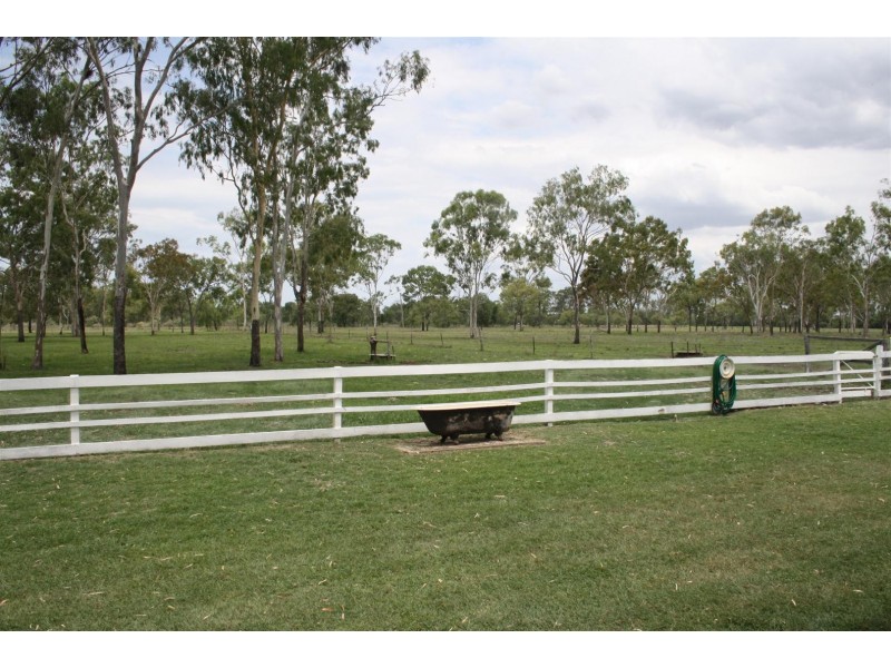 217 Harding Road, Alton Downs QLD 4702