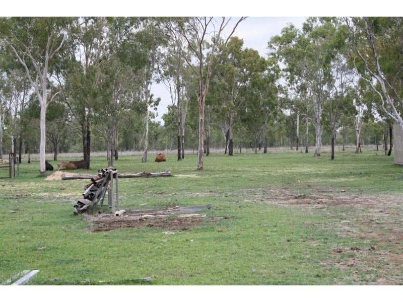 217 Harding Road, Alton Downs QLD 4702