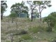“Carinya” Oakey Creek Road, Boulder Creek QLD 4714