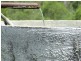 “Carinya” Oakey Creek Road, Boulder Creek QLD 4714