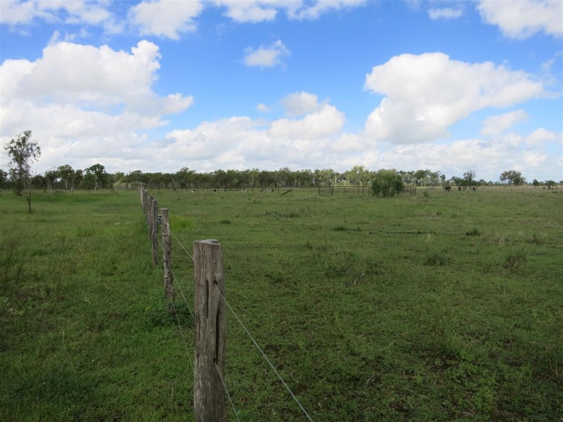 32 Rayner Road, Alton Downs QLD 4702