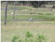 117 Weir View Road, Bajool QLD 4699