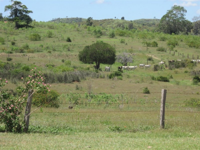 117 Weir View Road, Bajool QLD 4699