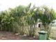 53 Douglas Street, Gracemere QLD 4702