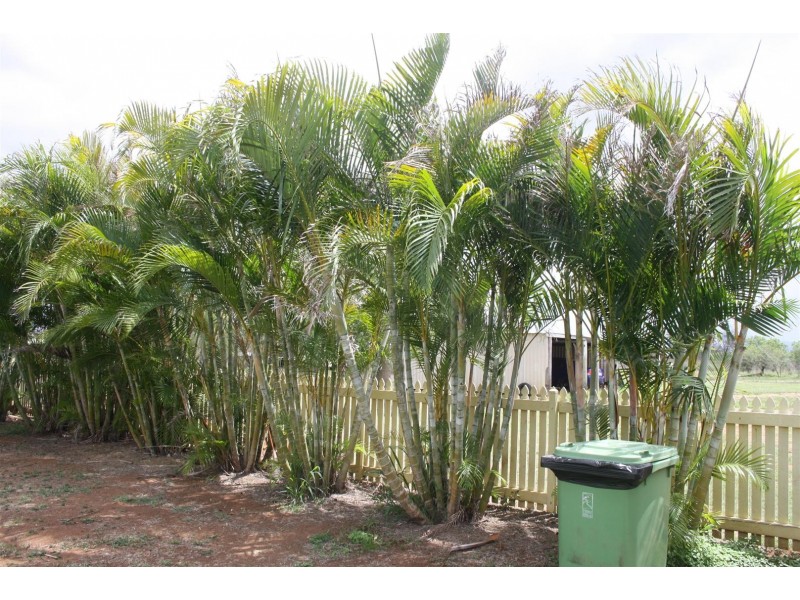 53 Douglas Street, Gracemere QLD 4702